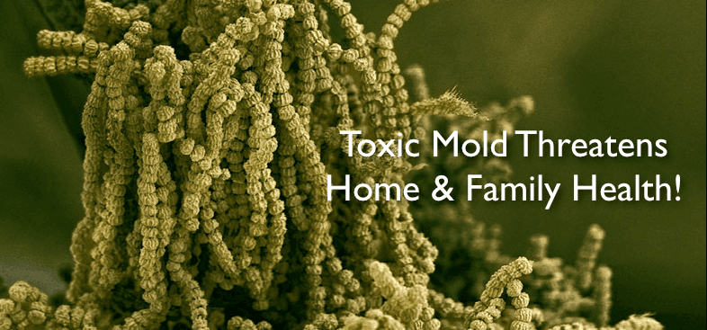 Truth About Mold - Toxic mold causes serious health problems Truth About Mold - Health Effects